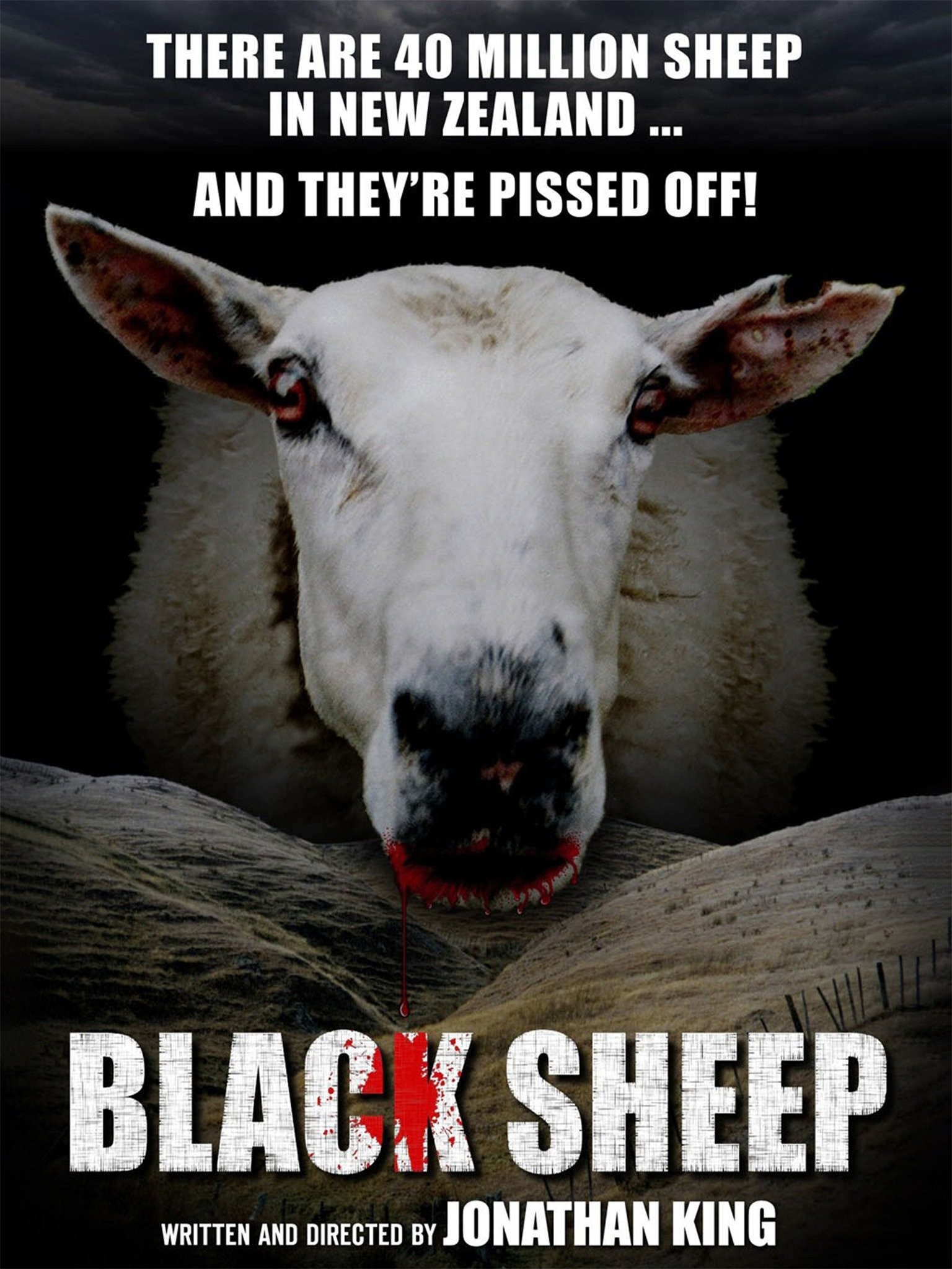 Black sheep 2006 Clearance